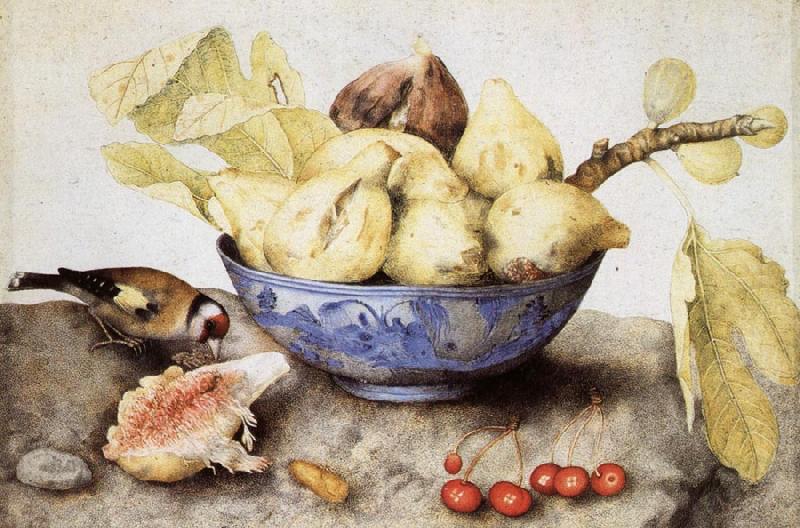 Giovanna Garzoni Chinese Cup with Figs,Cherries and Goldfinch France oil painting art